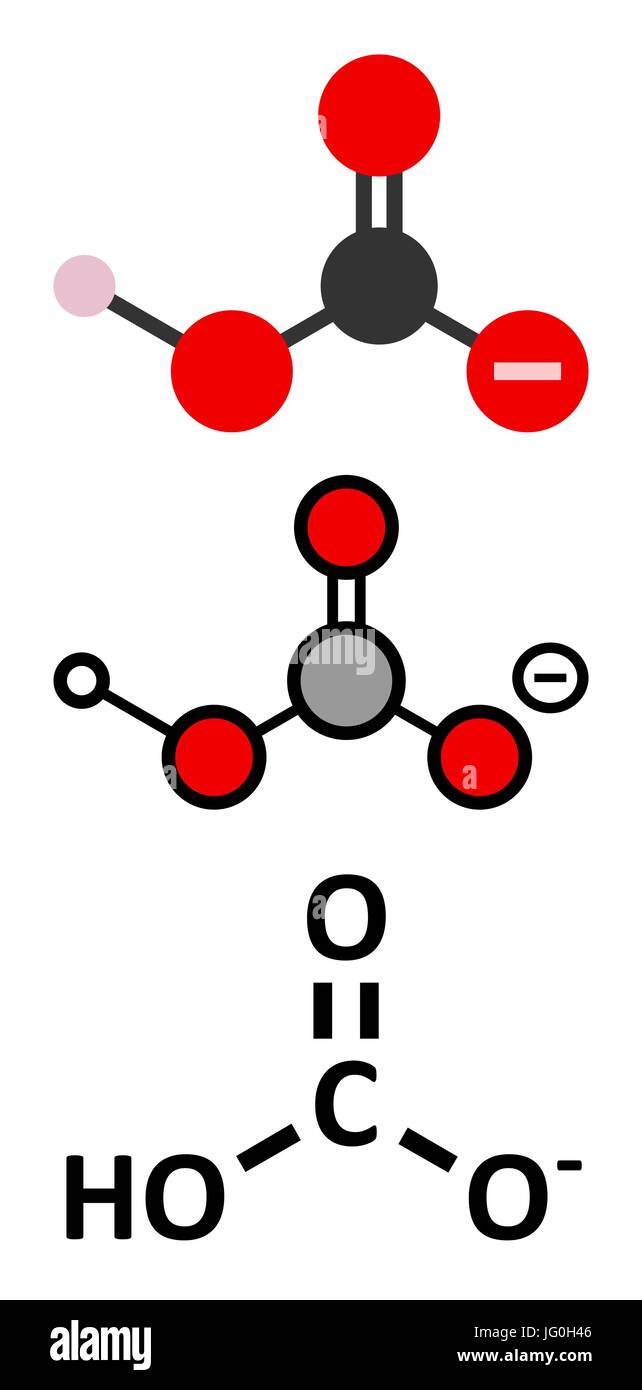 Bicarbonate anion, chemical structure. Common salts include sodium