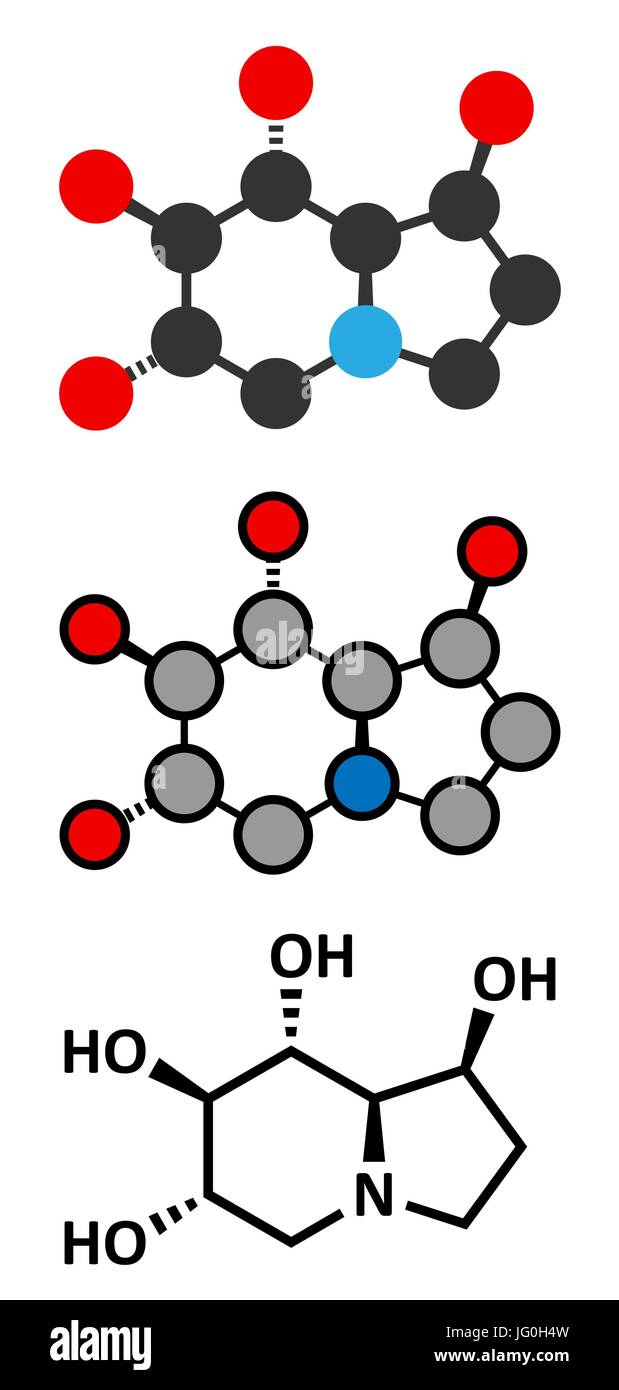 Castanospermine alkaloid molecule. Isolated from Castanospermum australe. Conventional skeletal formula and stylized representations. Stock Vector
