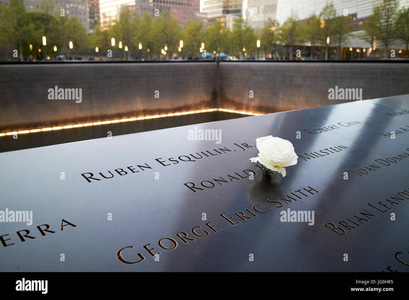 white rose tribute at ronald milstein name on the south memorial pool former 2 world trade center footprint New York City USA Stock Photo