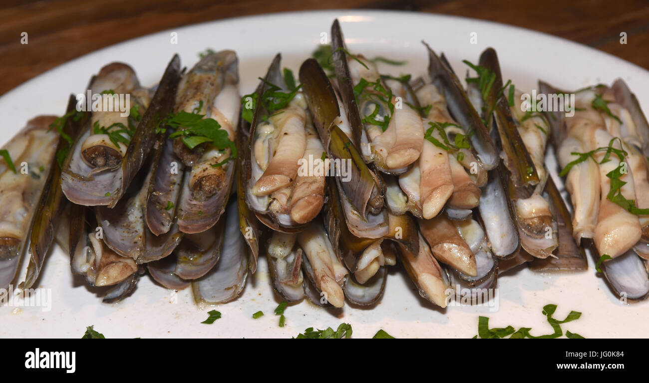 Razor shell ensis siliqua hi-res stock photography and images - Alamy