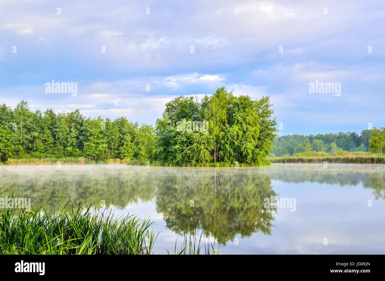 Trees nature natural scenery hi-res stock photography and images - Alamy
