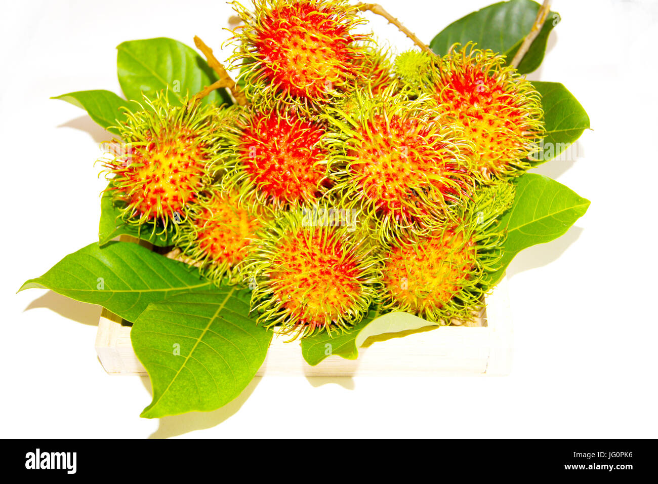 Rambutan leaves isolated on white hi-res stock photography and images ...