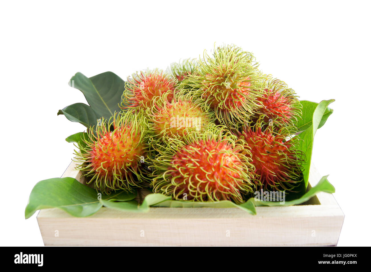 Rambutan leaves isolated on white hi-res stock photography and images ...