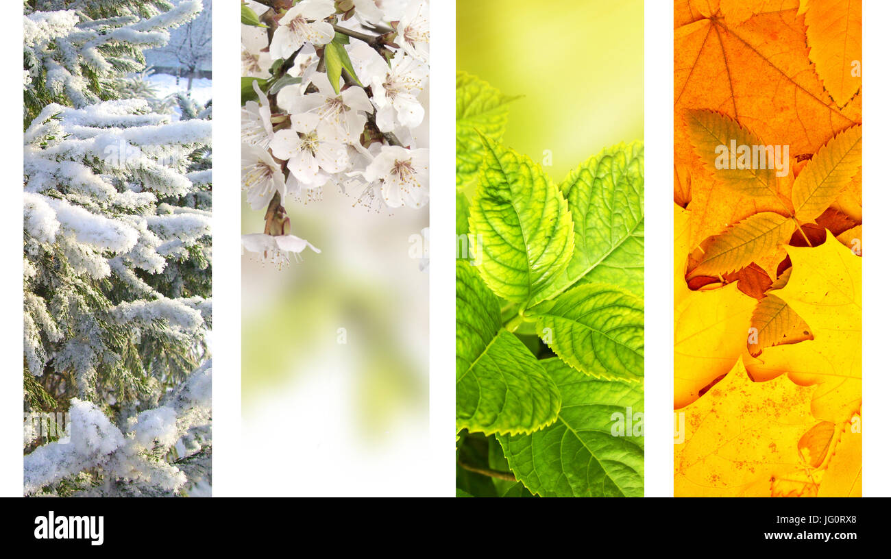four seasons of year vertical nature banners with winter spring nature four