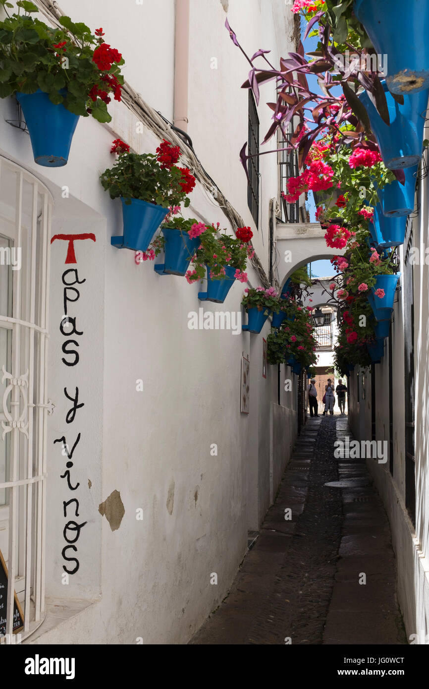 The Calleja de las Flores, Cordoba, Spain. Stock Photo