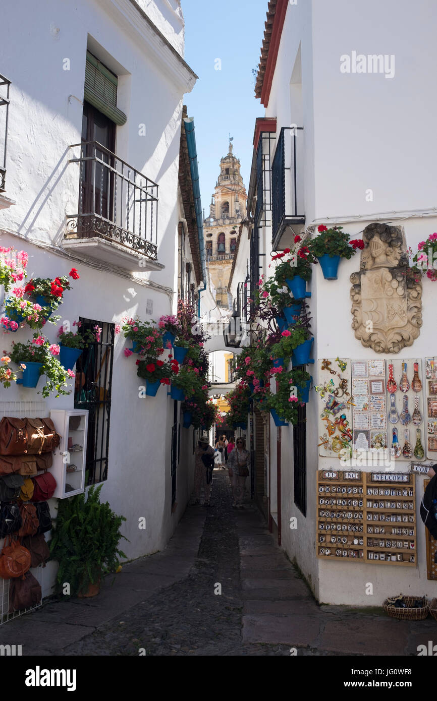 The Calleja de las Flores, Cordoba, Spain. Stock Photo