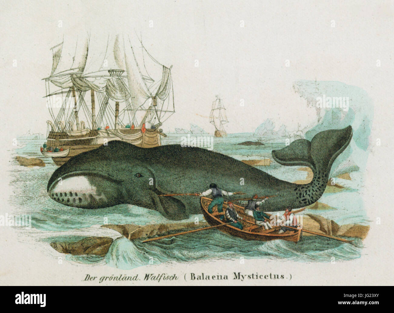 Inuit art whale hi-res stock photography and images - Alamy, image size:1300x1032