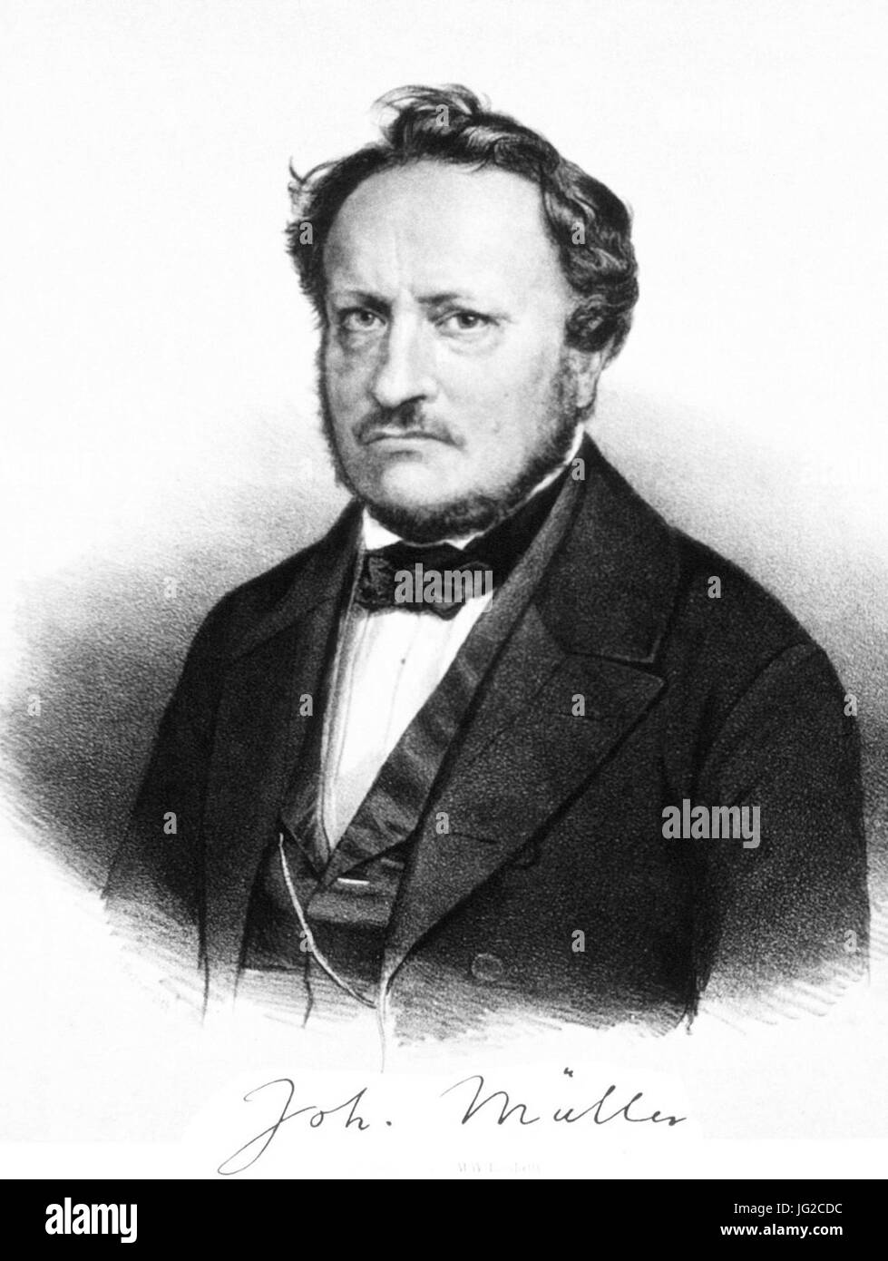 Johannes Peter Müller Stock Photo