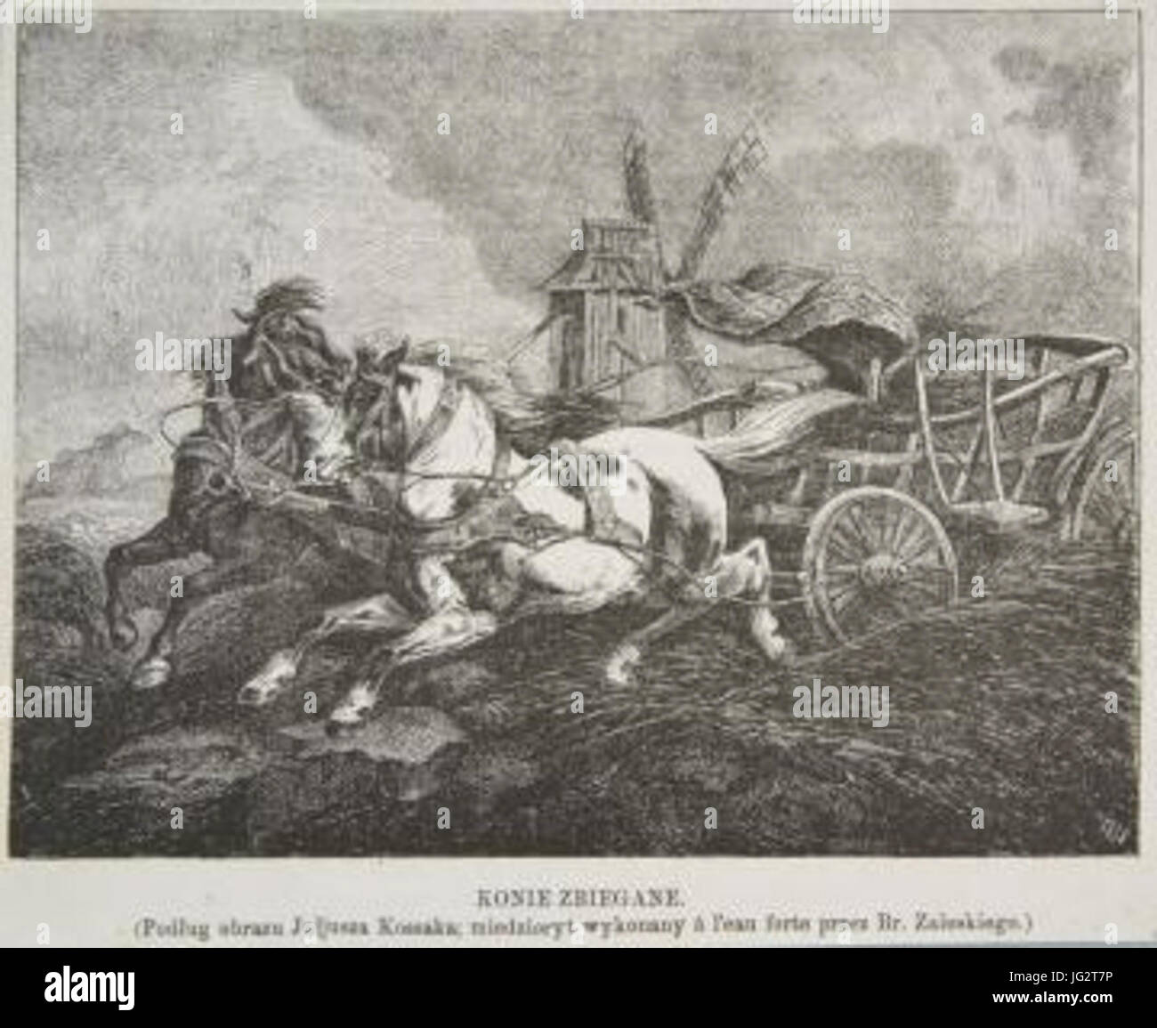 Konie zbiegane wg obrazu Juliusza Kossaka rysował Bronisław Zaleski Stock Photo