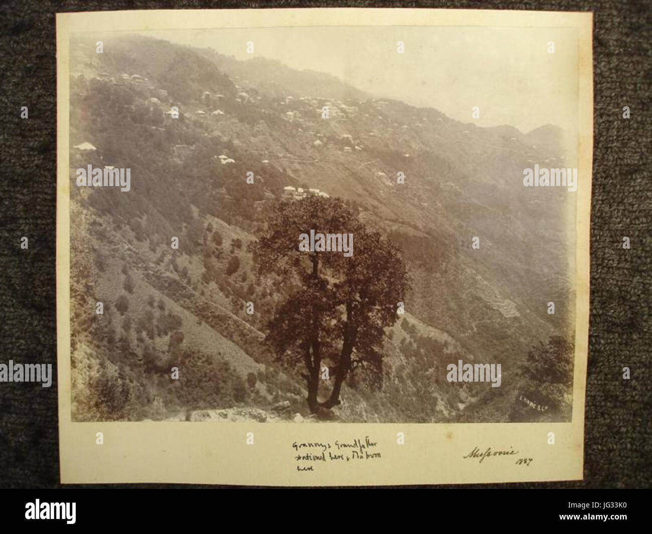 Mussoorie Illustration Hi res Stock Photography And Images Alamy Mussoorie Illustration Hi res Stock Photography And Images Alamy