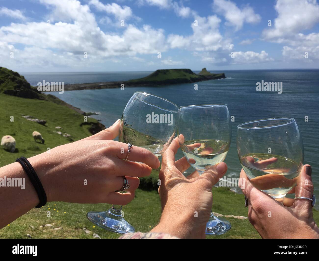 Celebratory Toast at Rhossili Bay Stock Photo