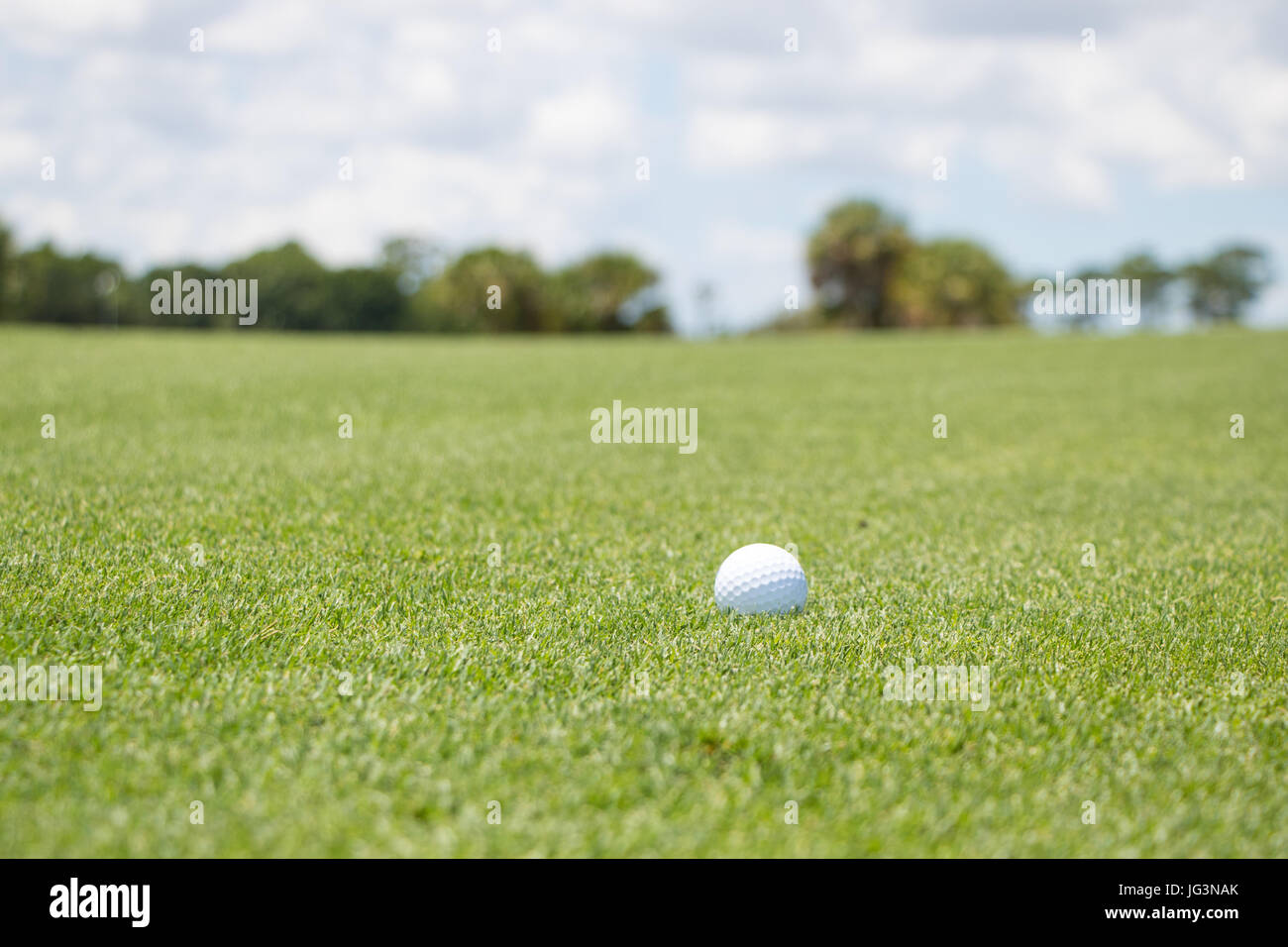 Golf Ball on Fairway Stock Photo Alamy