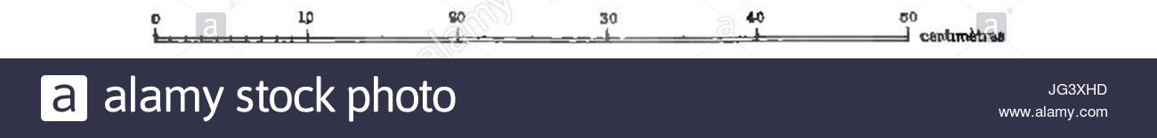 Old Rennes Black And White Stock Photos Images Alamy -