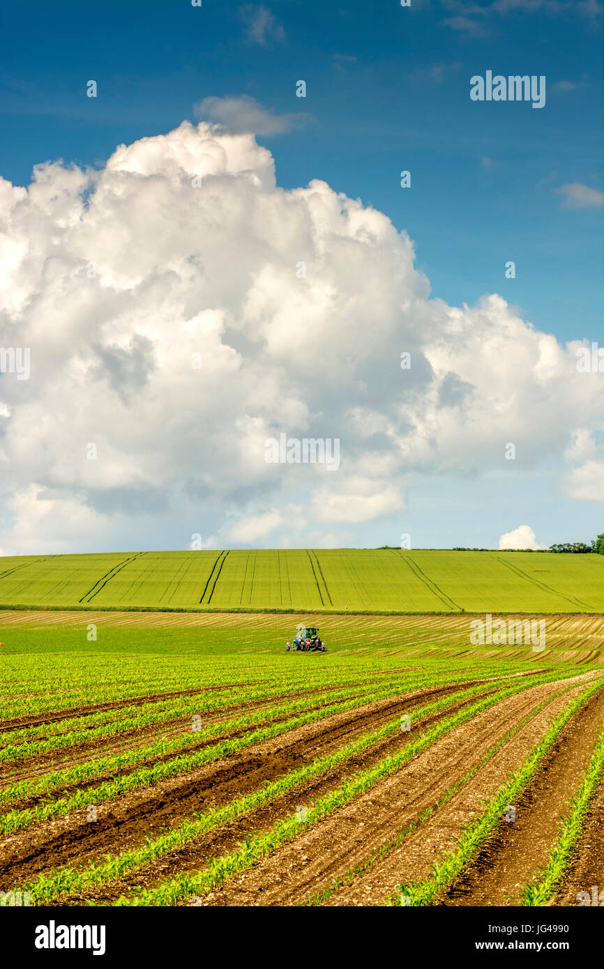 Tractor plowing a field, Limagne, Puy de Dome, Auvergne, France, Europe Stock Photo