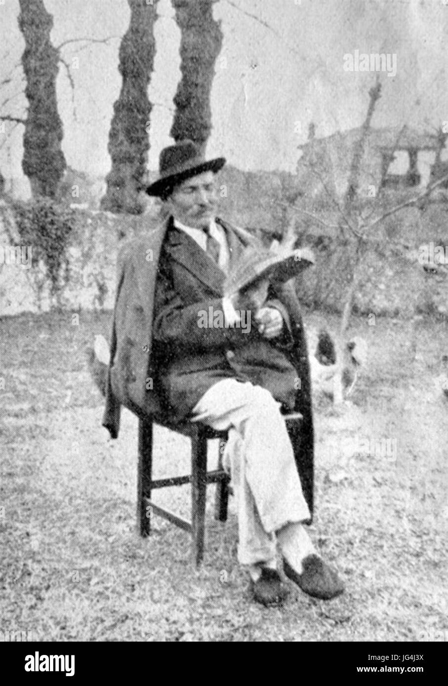 Pine identification Black and White Stock Photos & Images Alamy