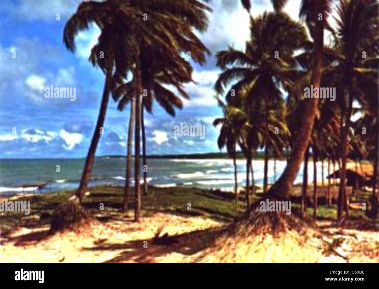 Postal2 praia piatã Stock Photo Alamy