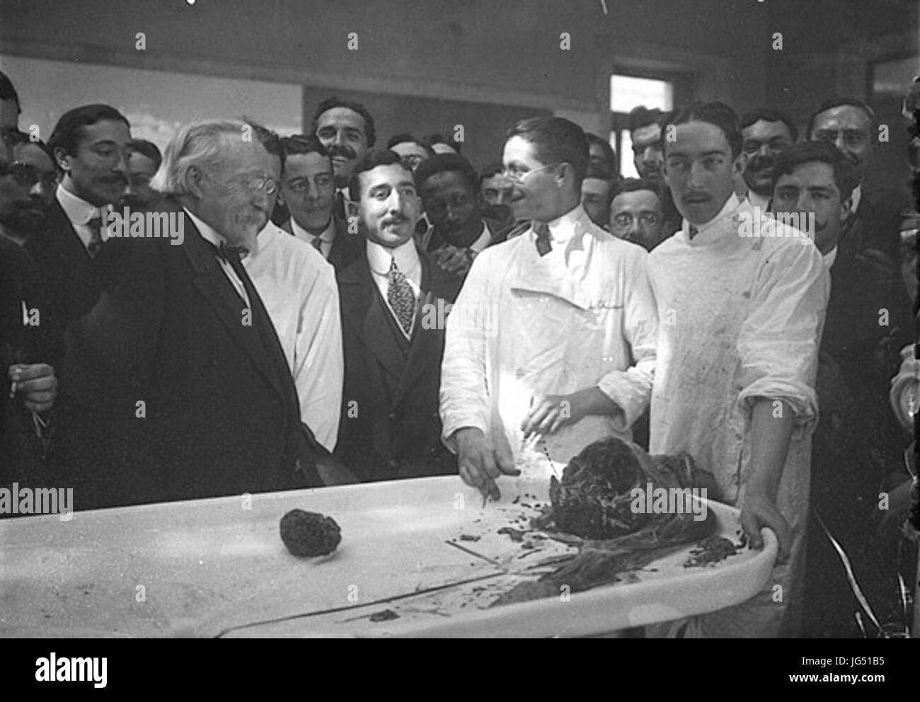 President d Arriaga 28anatomie29 Stock Photo Alamy