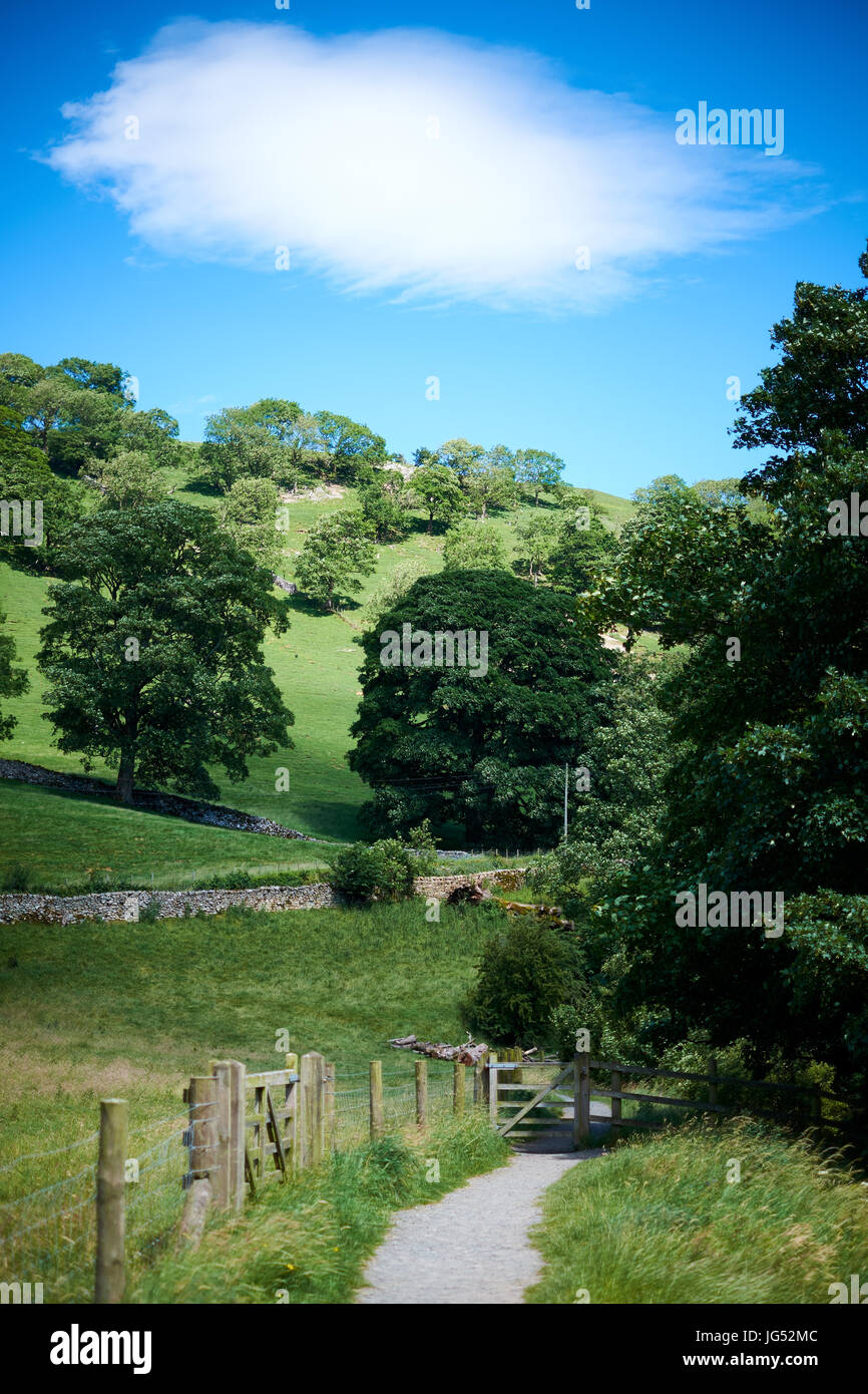 A path through farmland in Wharfedale, Yorkshire. UK. on a sunny day with green vegetation and a blue sky with clouds Stock Photo