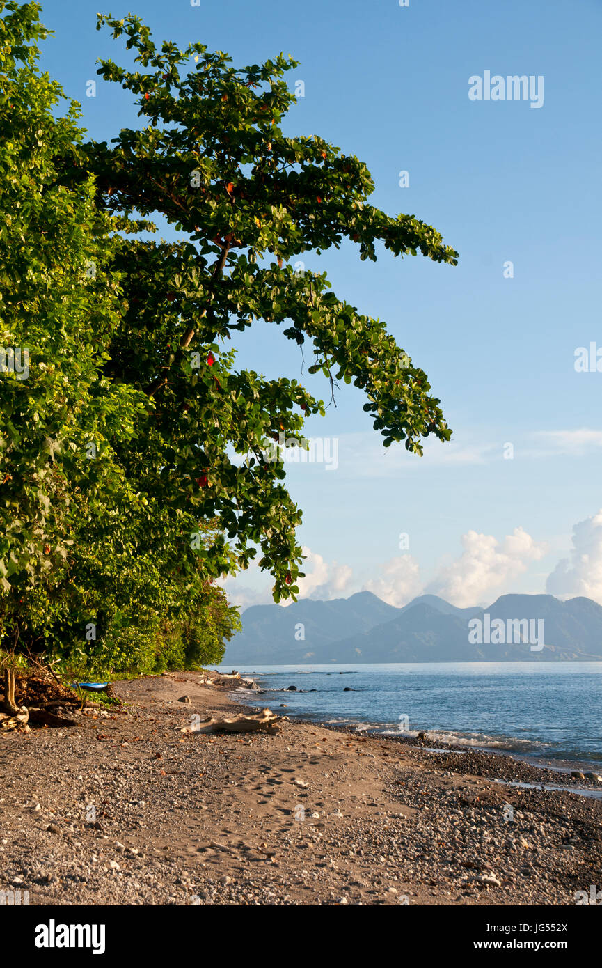 Beach at Savo island, Salomon Islands, Pacific Stock Photo