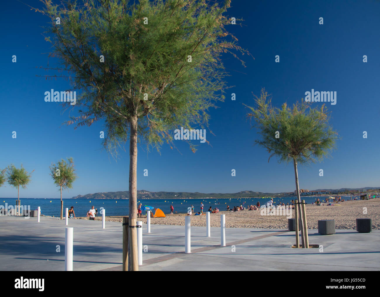 Young trees on the walk at L'Estartit beach on a sunny summer day Stock Photo