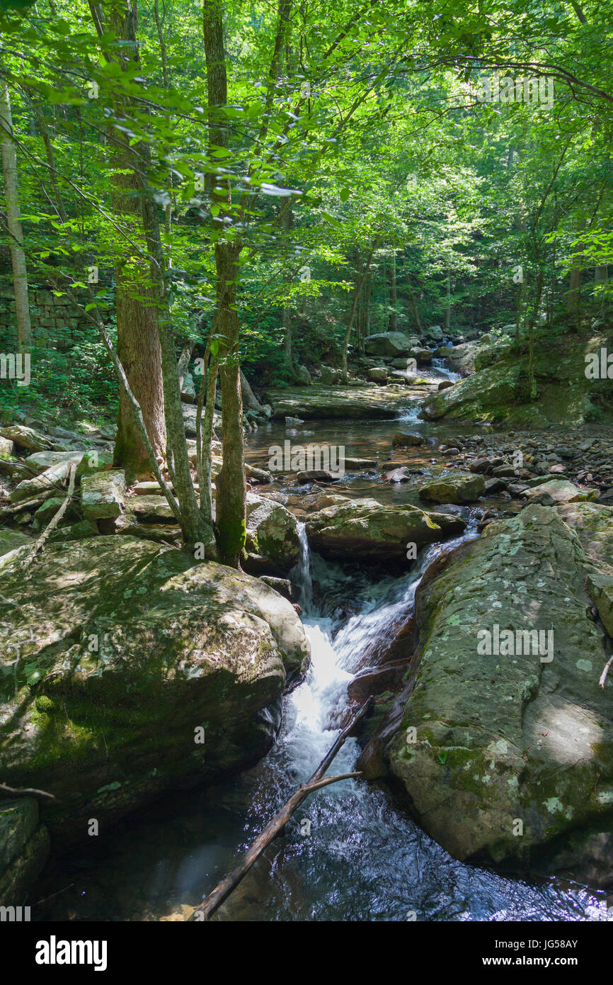 LaurelSnow State Natural Area stream crossing from bridge Stock Photo