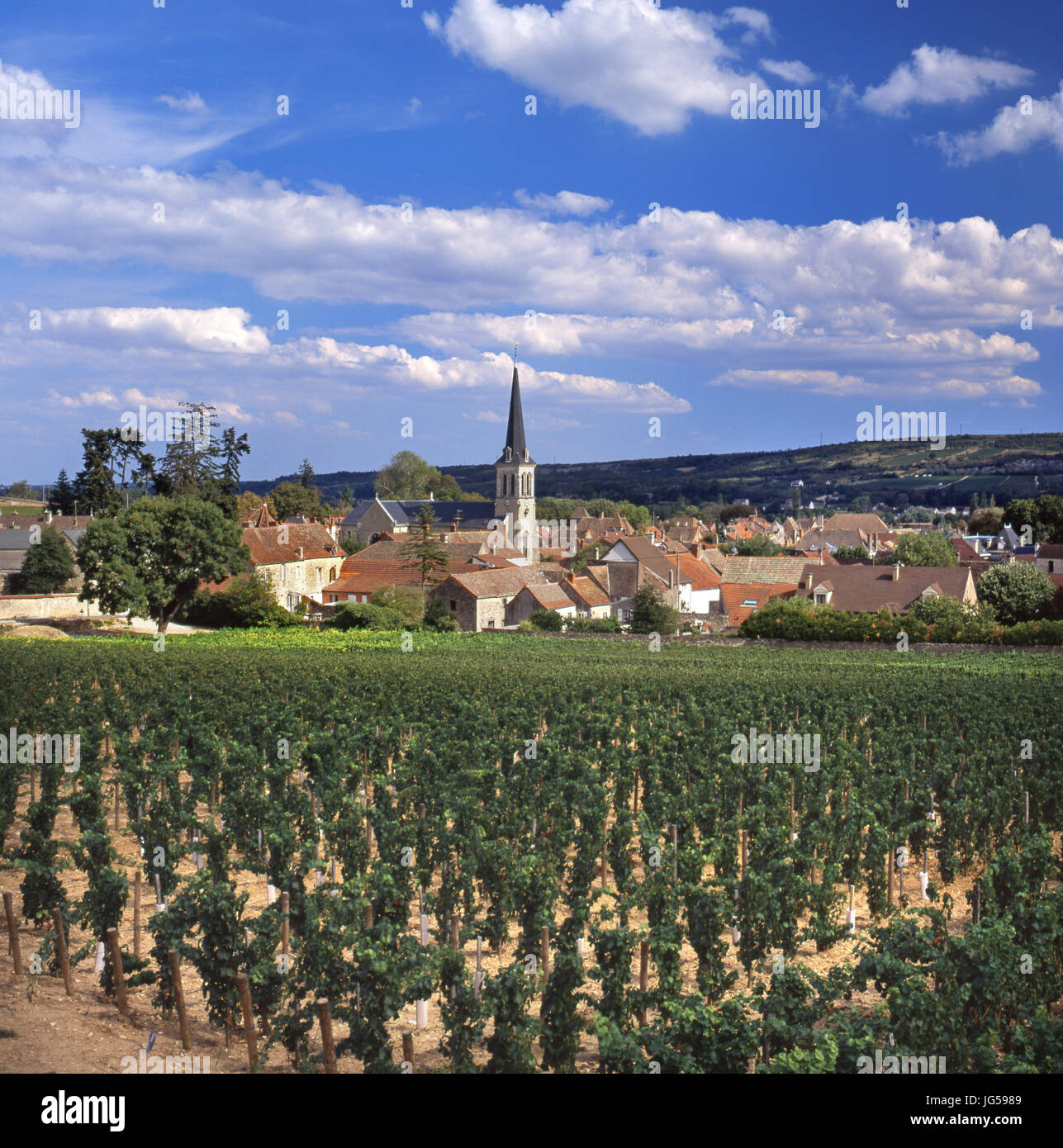 Château de Santenay vineyard, with village and church viewed from the Chateau vineyard Santenay, Côte d'Or, France. Stock Photo