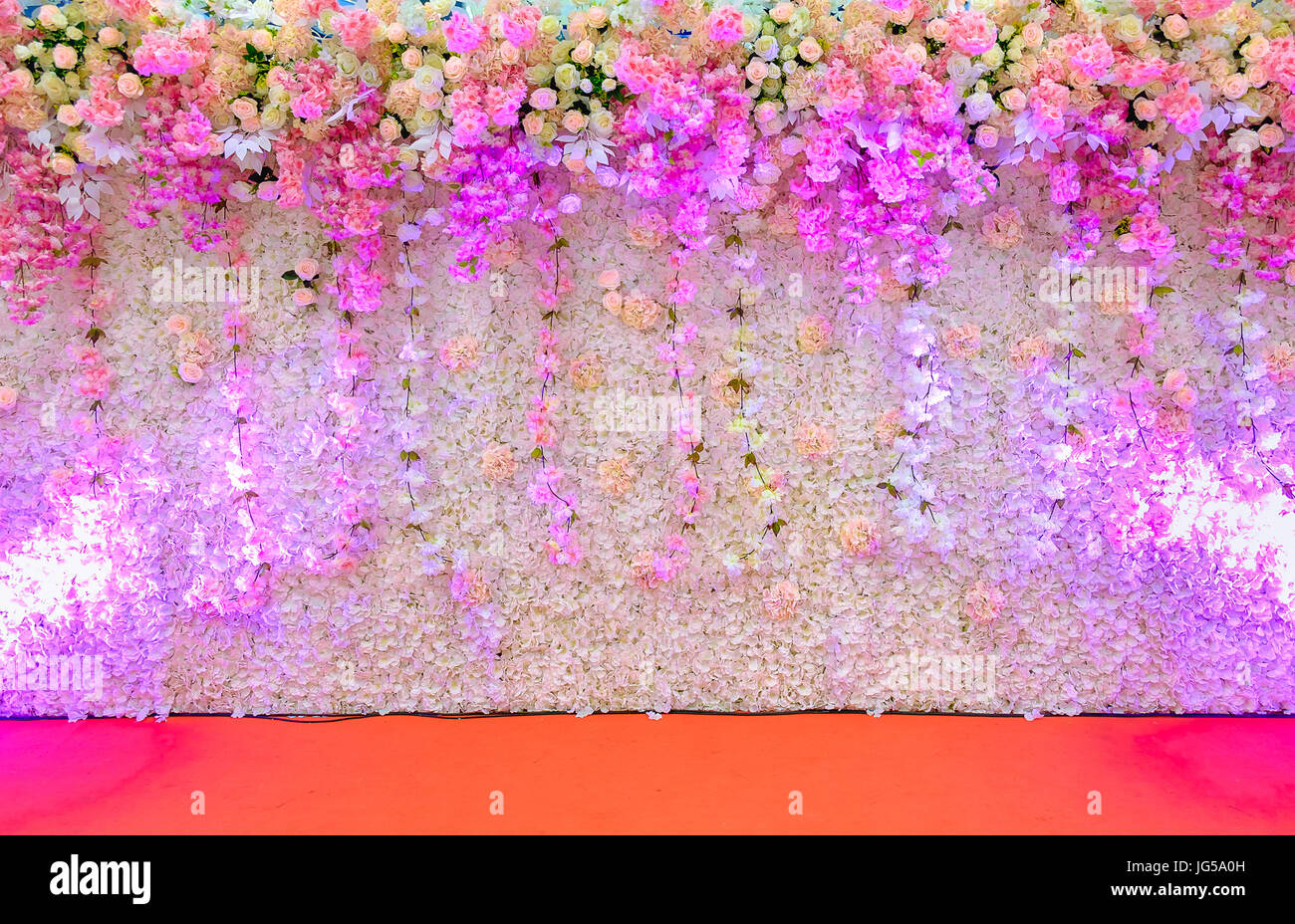 Beautiful pink and white flower backdrop white spot light for wedding  decoration background Stock Photo - Alamy