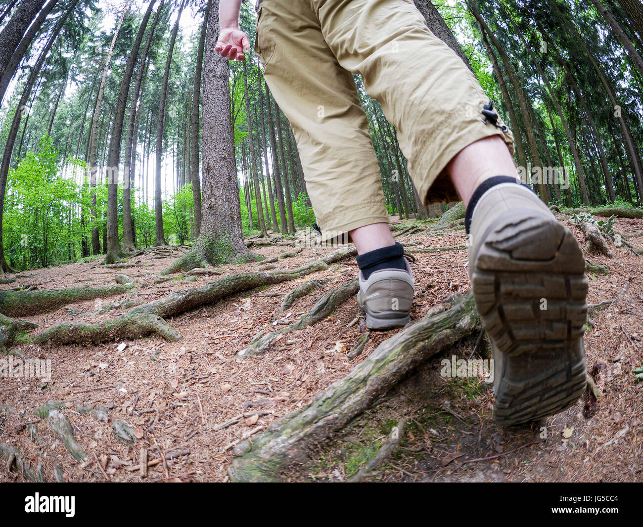 Close up of a hiker in the forest Stock Photo - Alamy
