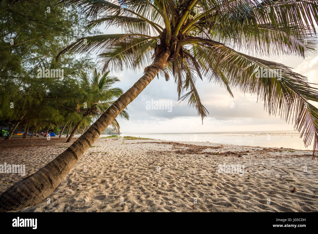 Paradise beach with white sand and palms, Kenya Stock Photo