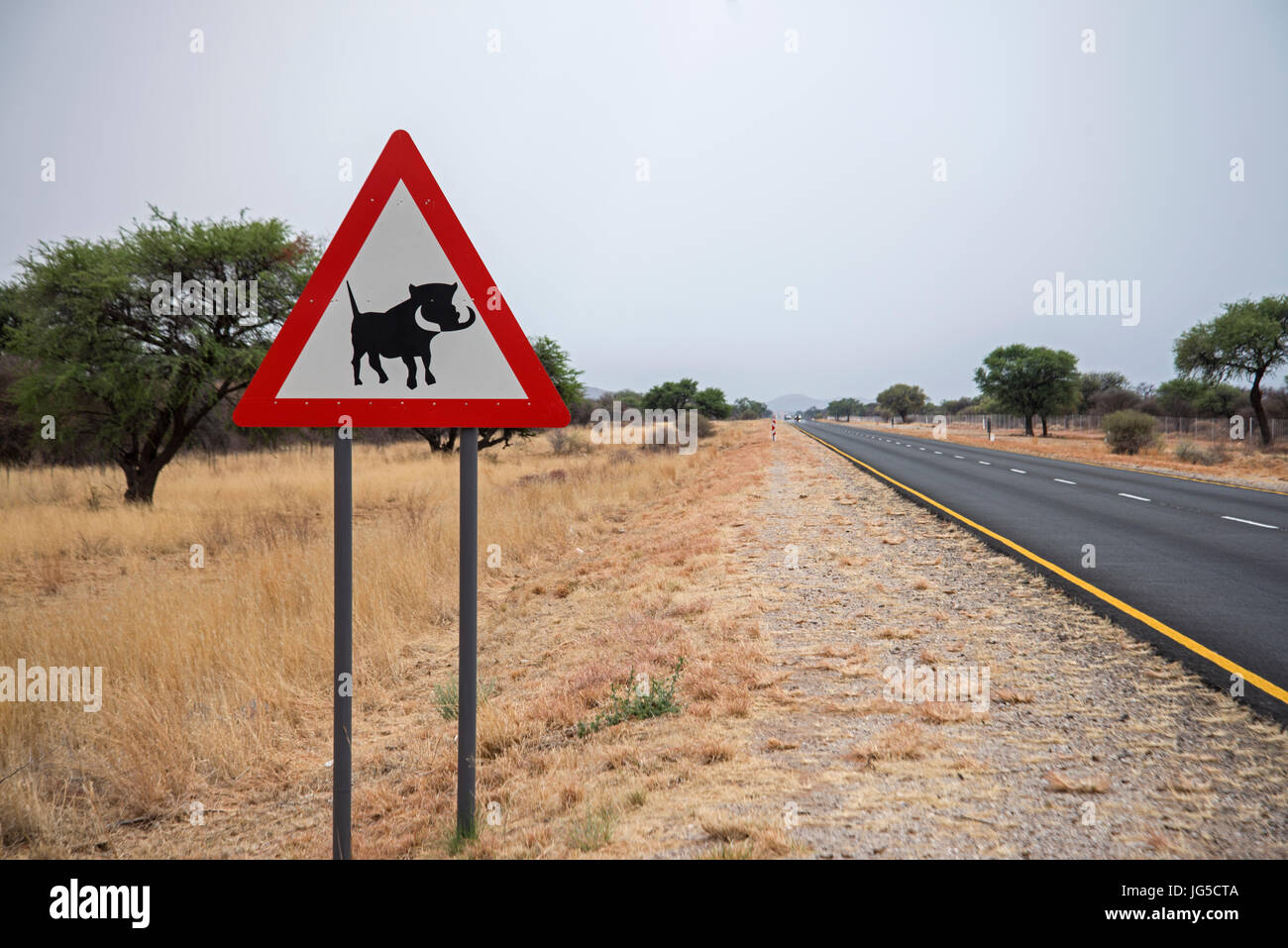 'Beware Warthogs'  sign, Namibia Stock Photo