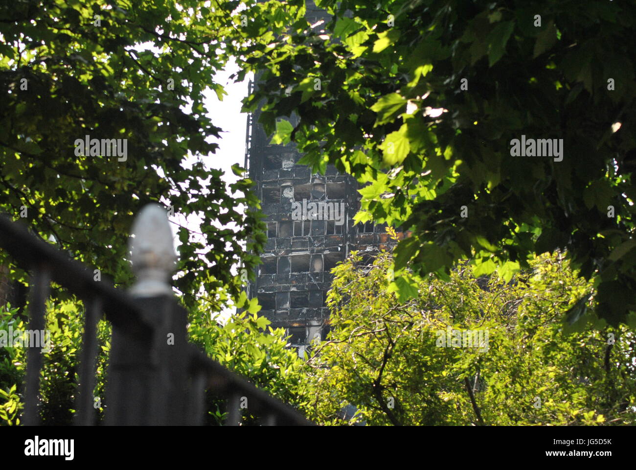 Grenfell Tower Fire, Leafy View Through to Burned Remains of Building