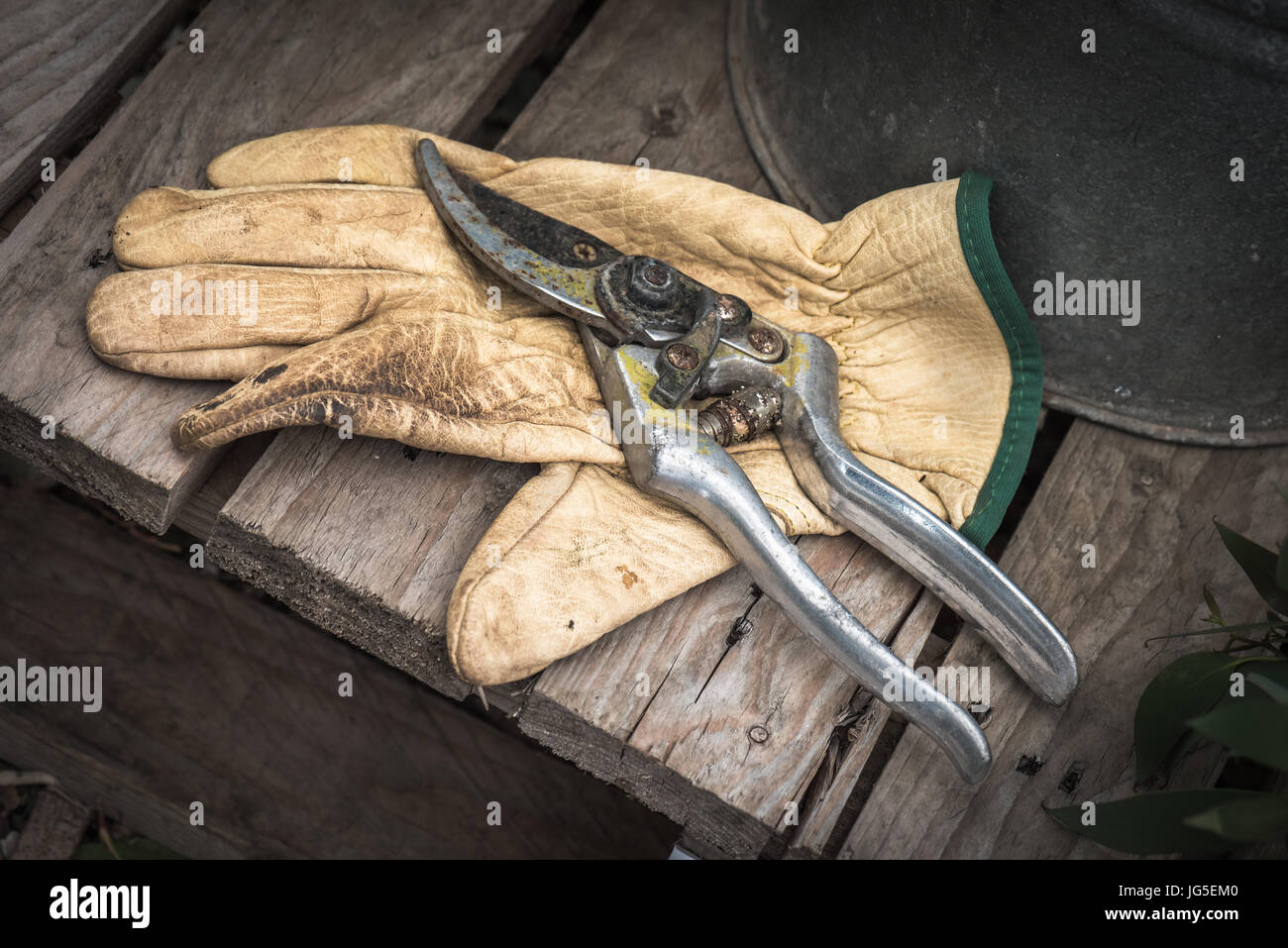 A gardening glove and pruning shears after a hard day in the garden. Stock Photo