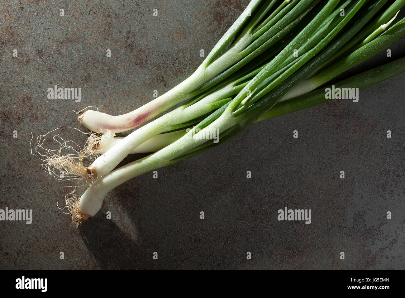 Stalks young green onions hi-res stock photography and images - Alamy