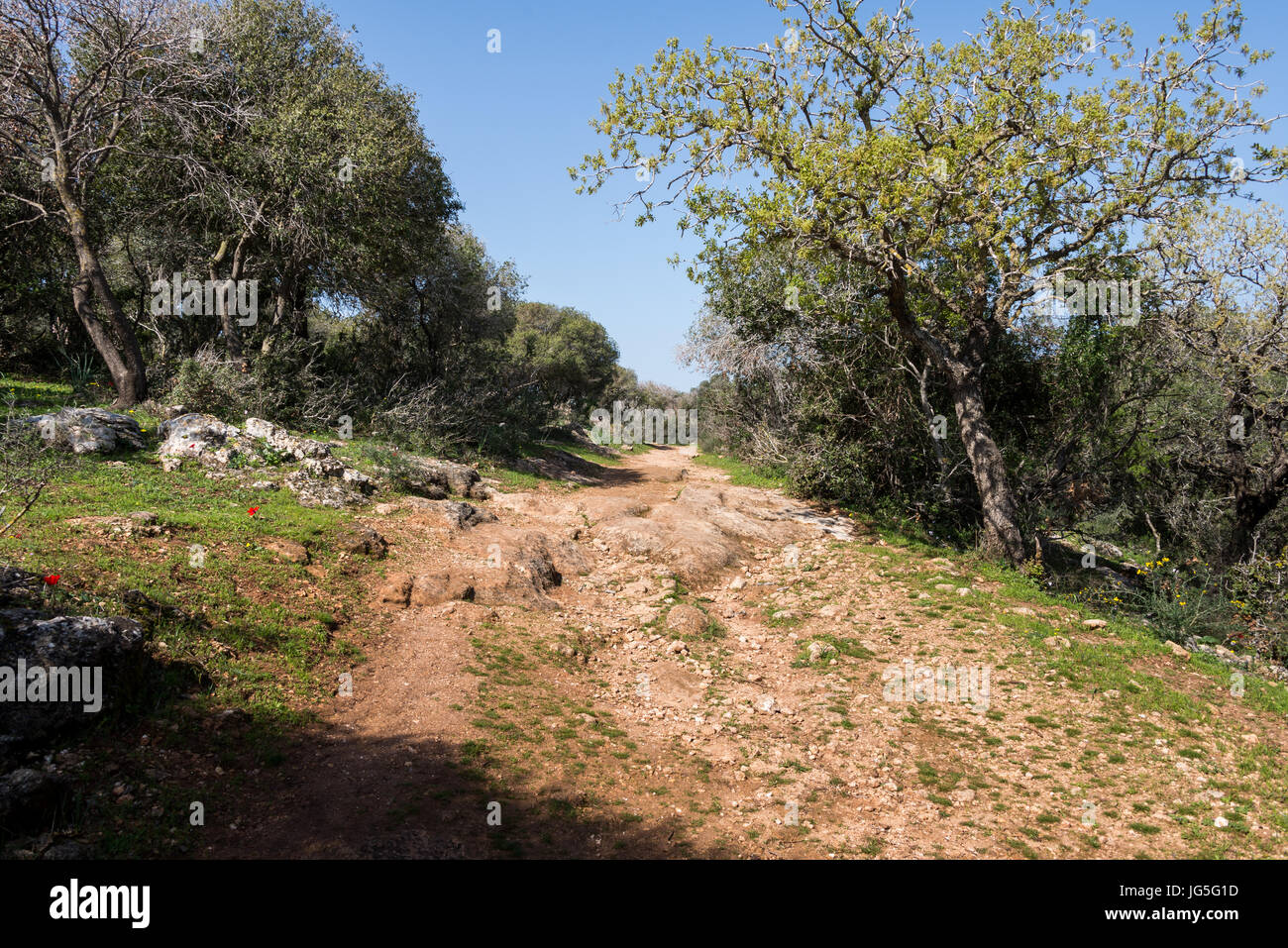 Alonei Abba nature reserve at Spring, Israel Stock Photo