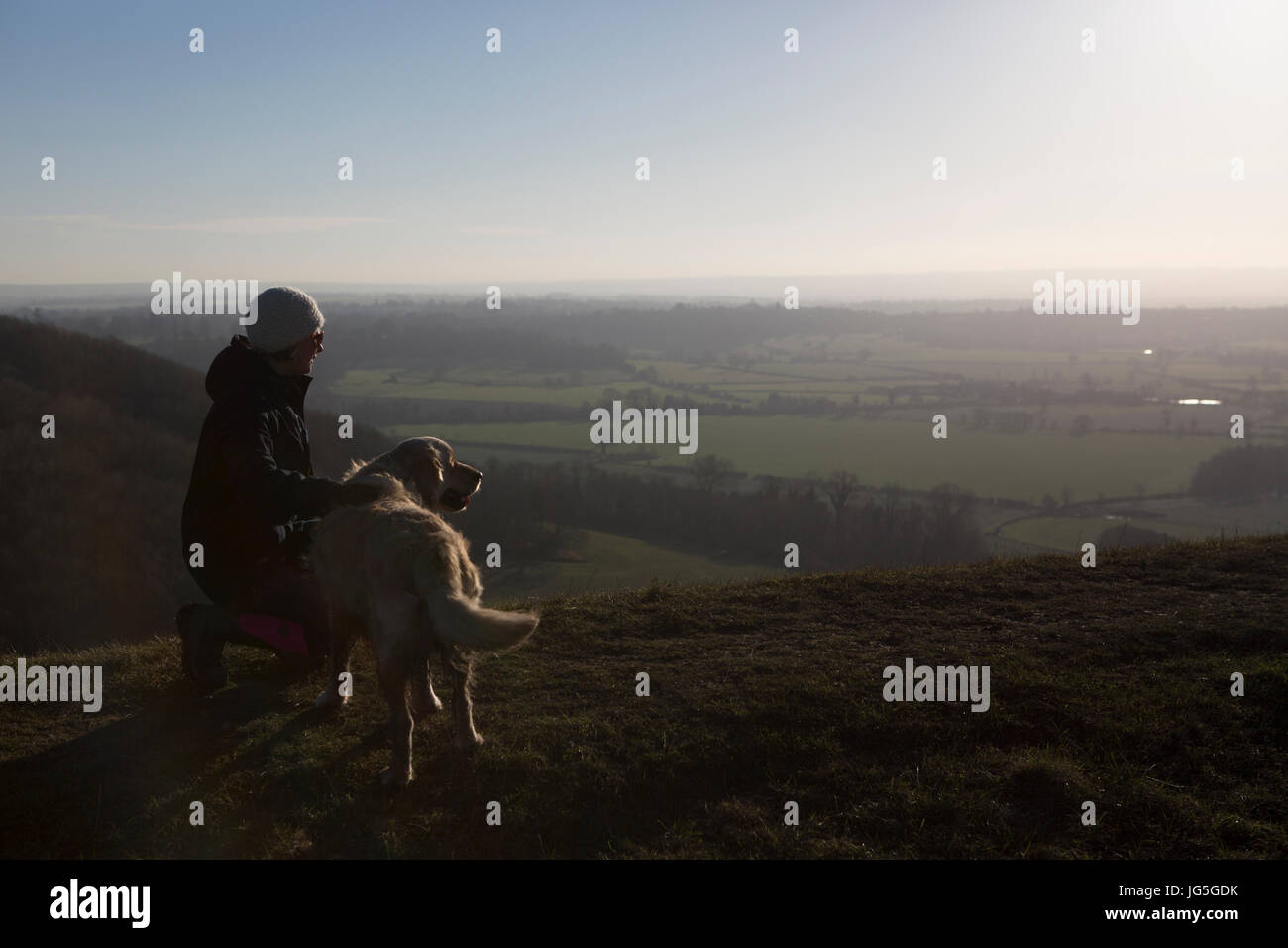 Dog walking, UK Stock Photo Alamy