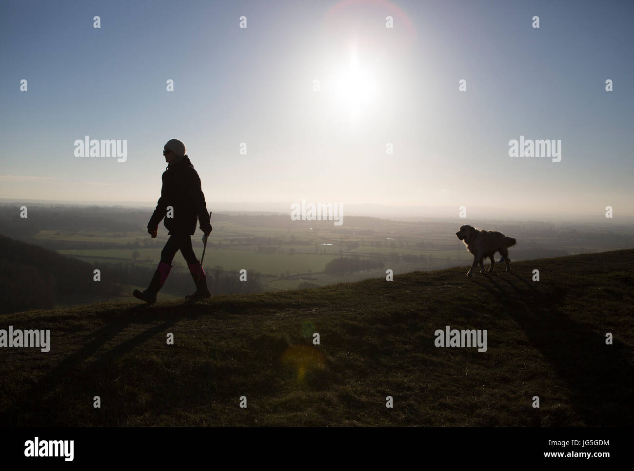dog-walking-uk-stock-photo-alamy
