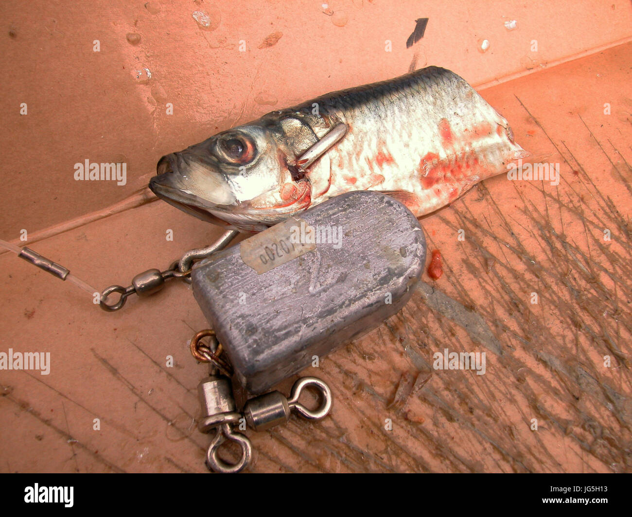 Sinker cut hi-res stock photography and images - Alamy