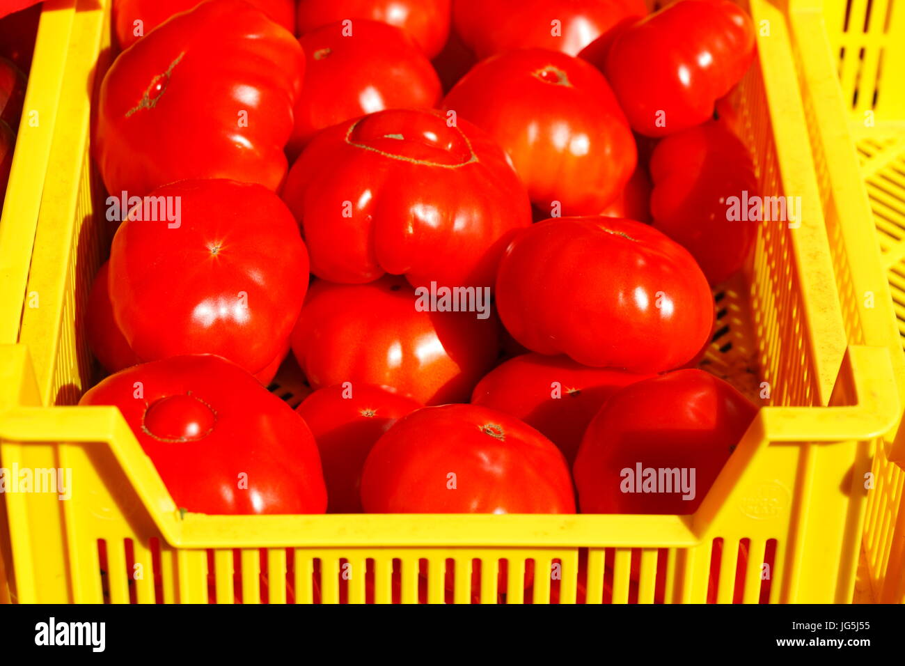 Download Fresh Tomatoes In Yellow Plastic Boxes Stock Photo Alamy PSD Mockup Templates