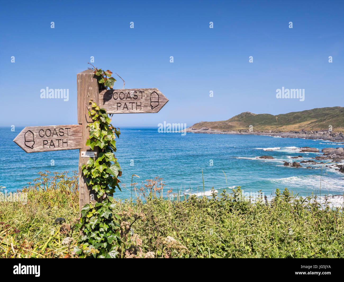 17 June 2017: Woolacombe, North Devon, England, UK - Ivy covered sign on the South West Coast Path above Barrican Beach. Stock Photo