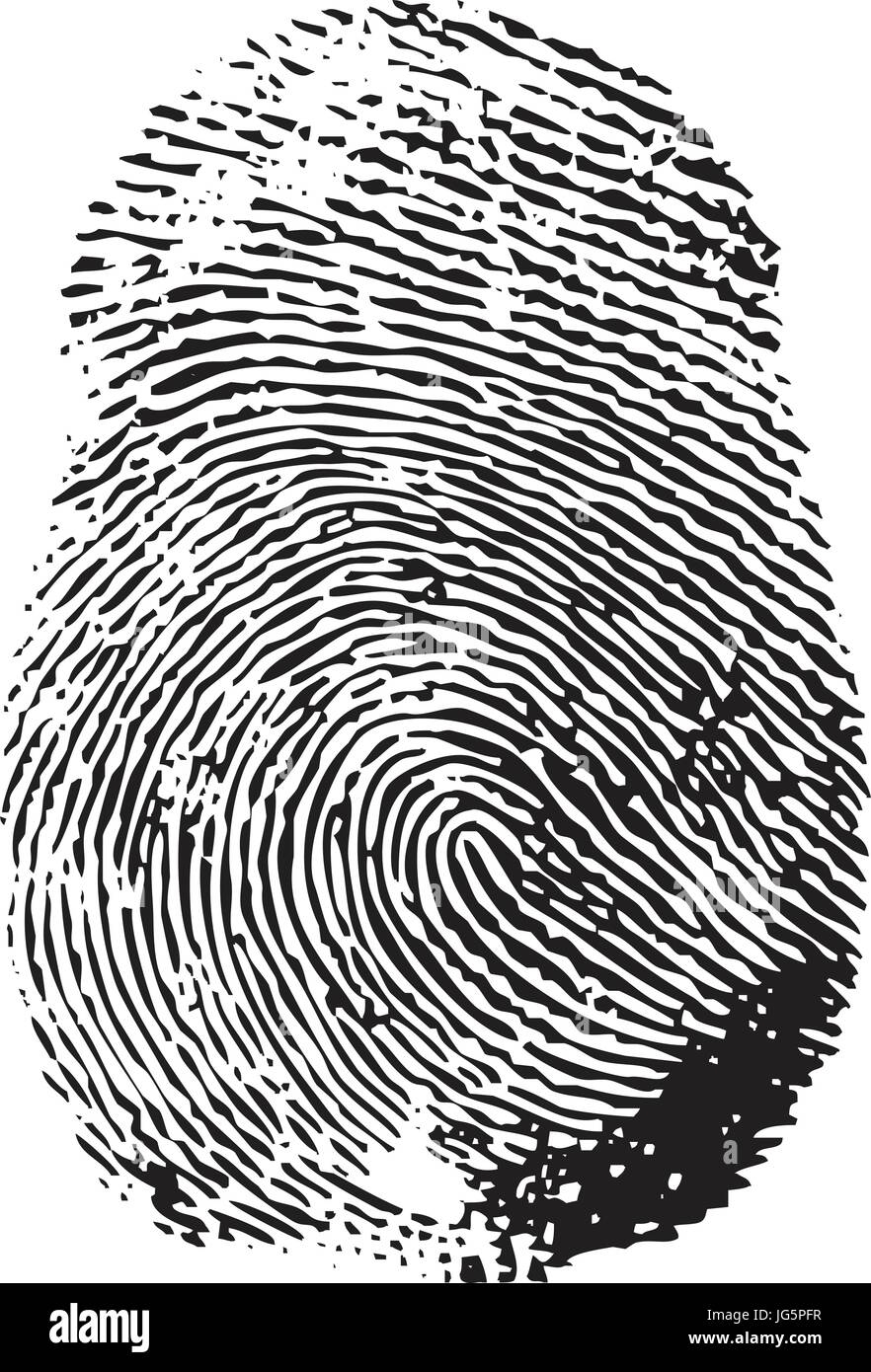 fingerprint-template-vector-stock-vector-image-art-alamy