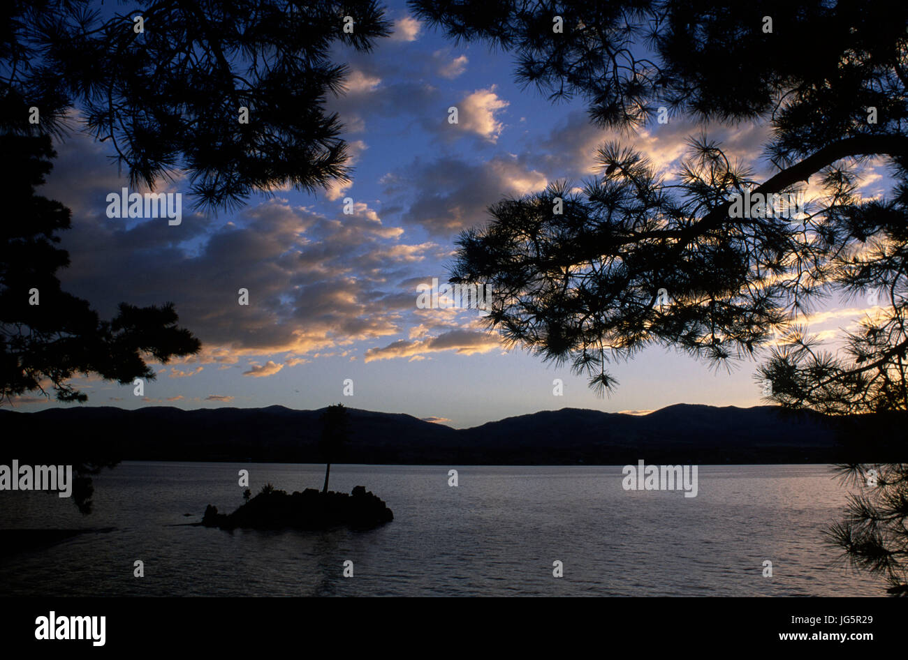 Ponderosa pine silhouette, Canyon Ferry Lake, Montana Stock Photo