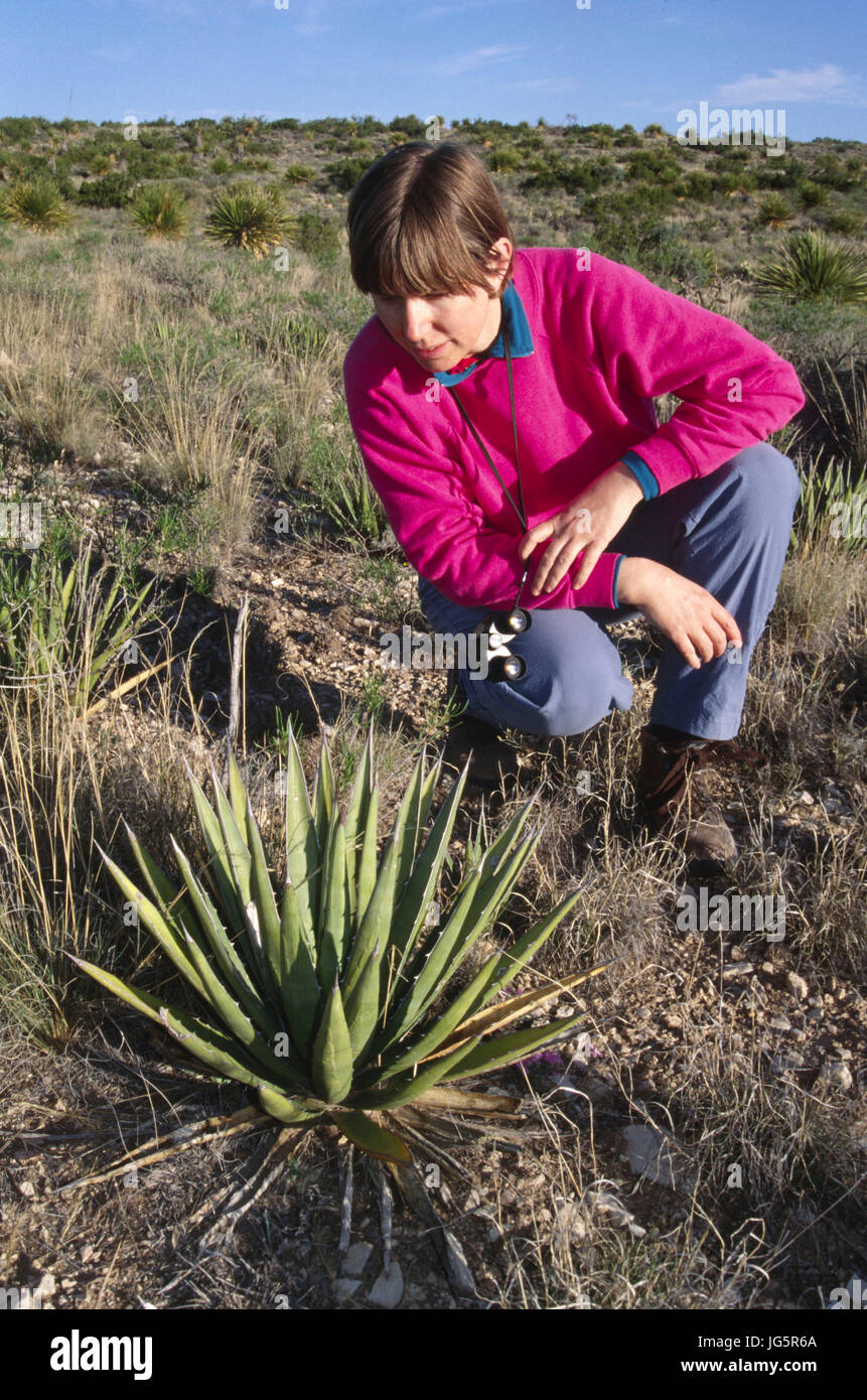 Lechuguilla, Carlsbad Caverns National Park, New Mexico Stock Photo