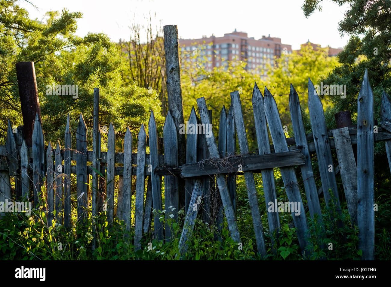 An old wooden fence with grass with green trees Stock Photo - Alamy