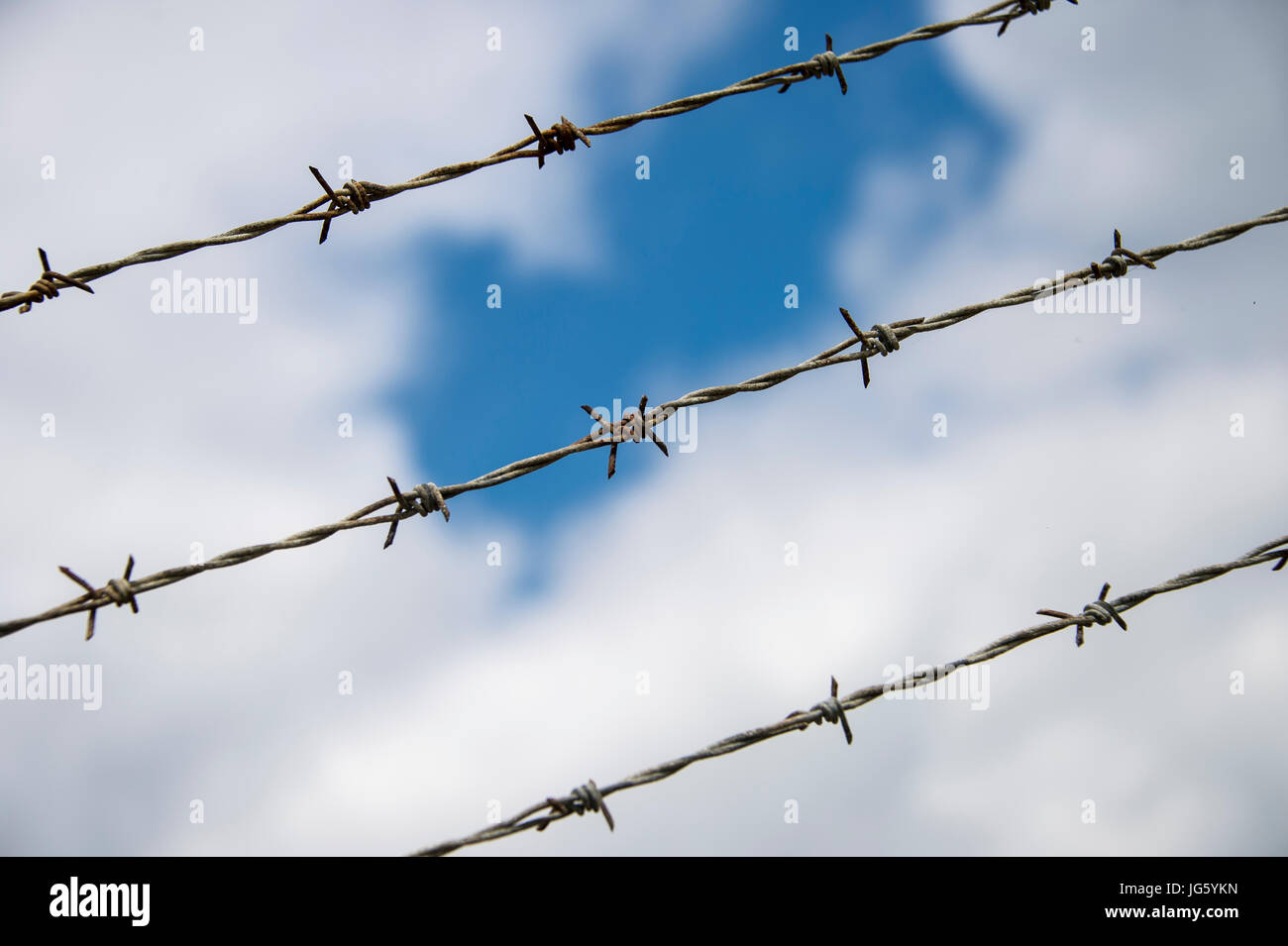 barbed wire fence, close up Stock Photo