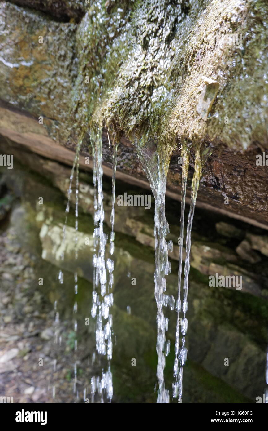 Water dripping from rocks moss hires stock photography and images Alamy