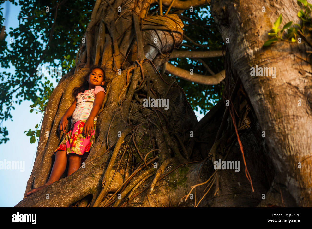 Girl standing in a giant old tree at sunset in downtown Apia, Upolo ...