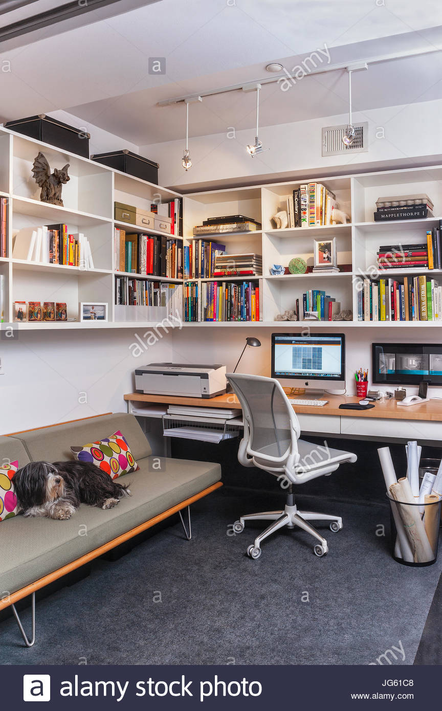modern home office built desk. home office, modern sofa, bookcase, office chair, built in desk, shaggy dog desk o