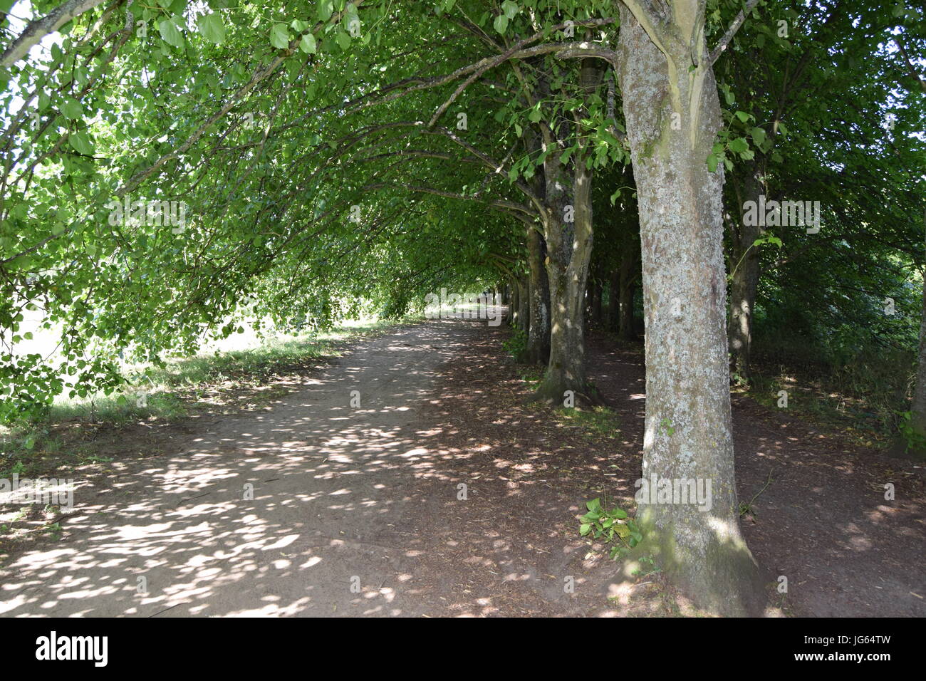 A stroll round Coate Water, site seeing Stock Photo