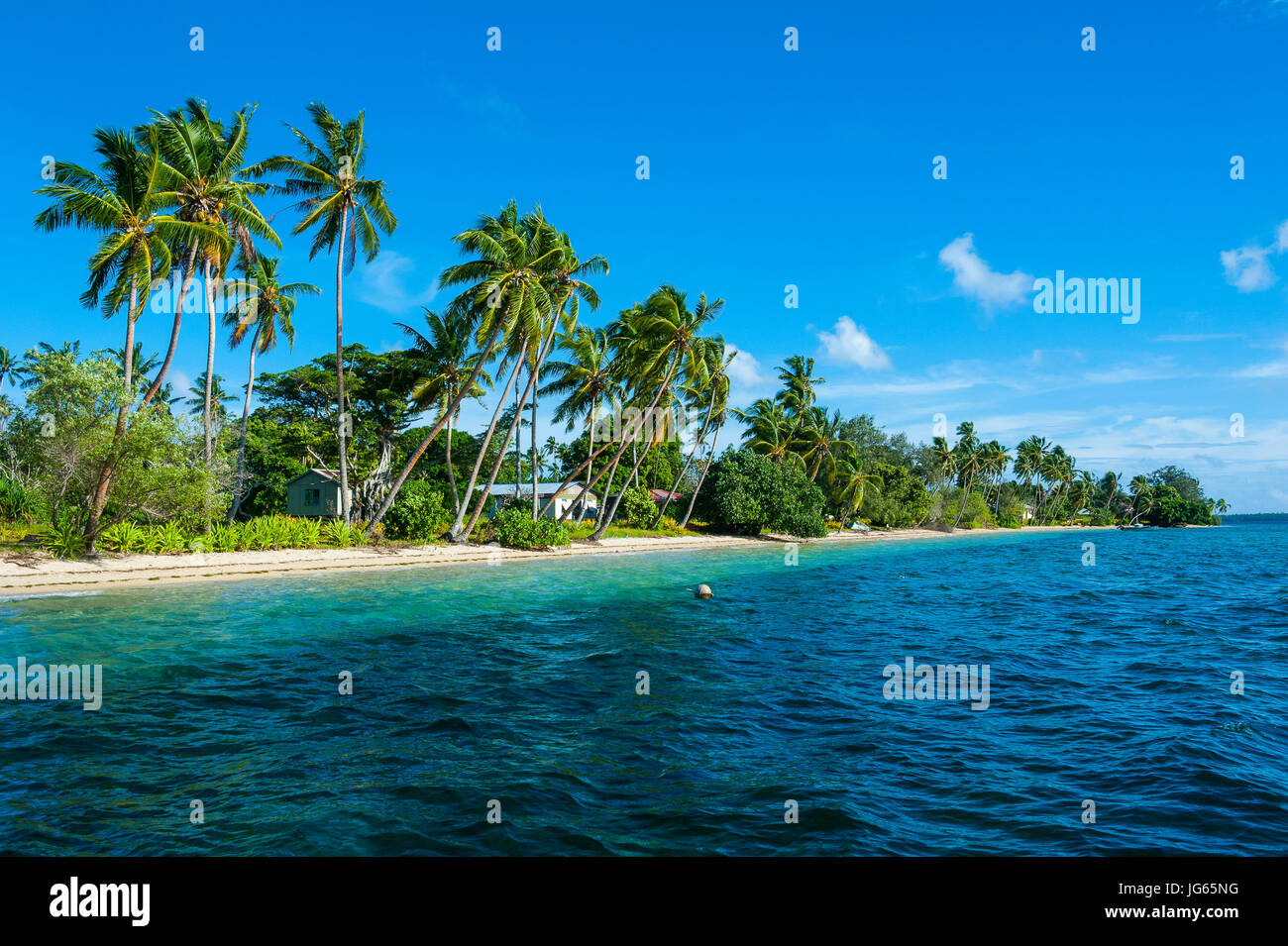 Palm fringed white sand beach on an islet of Vava´u, Vavau islands ...