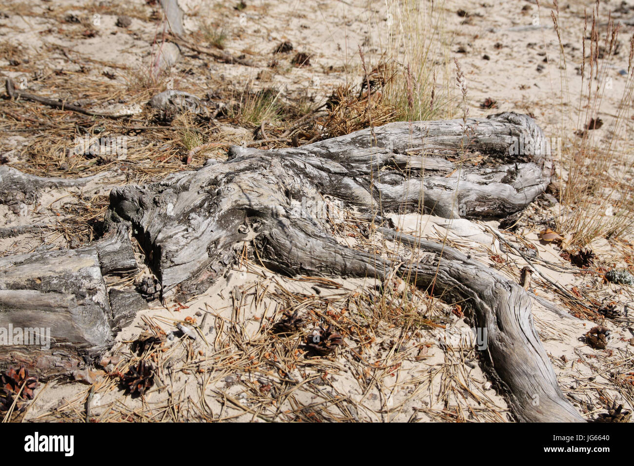 Unusual sand pattern hi-res stock photography and images - Alamy